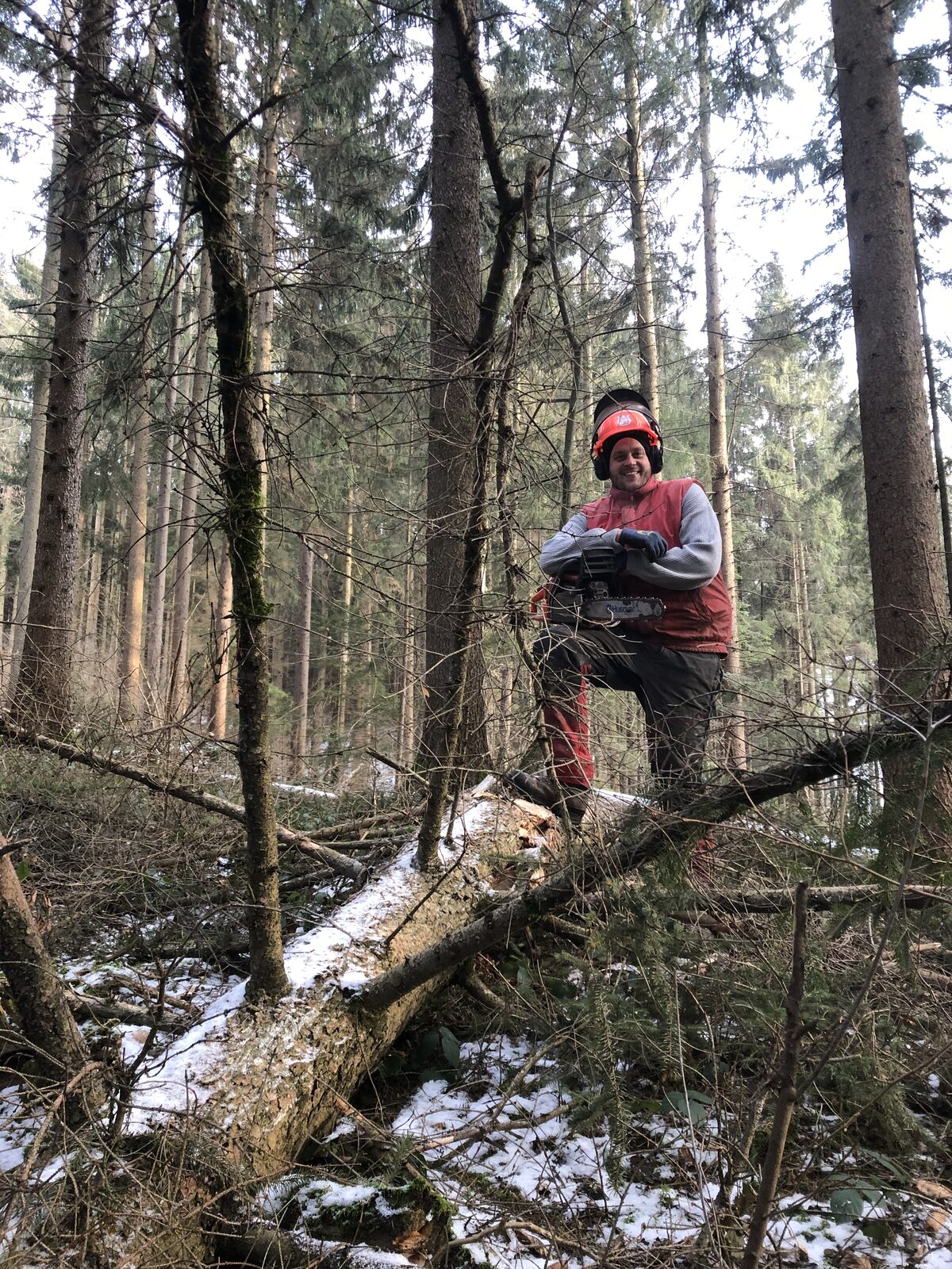 Skovarbejde i min fars skov i Østrig